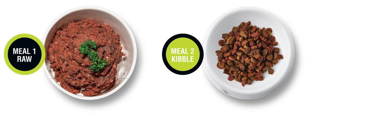 raw food and kibble one of each